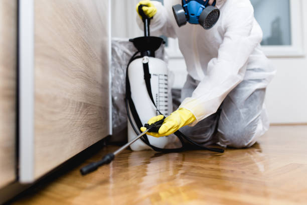Best Exterminator Services  in Hitchcock, TX
