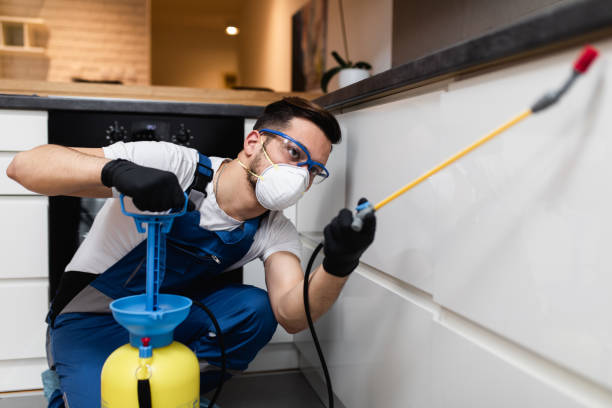Best Termite Control Services  in Hitchcock, TX