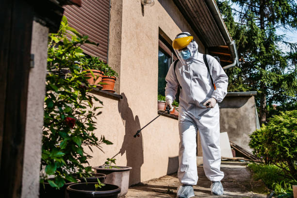 Best Rat Extermination Near Me  in Hitchcock, TX