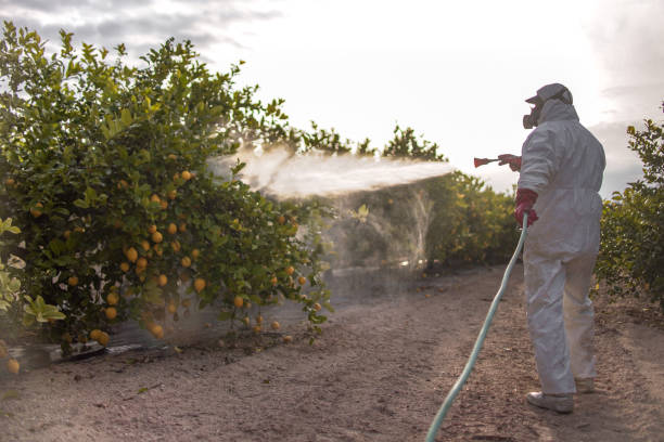 Pest Prevention Services in Hitchcock, TX