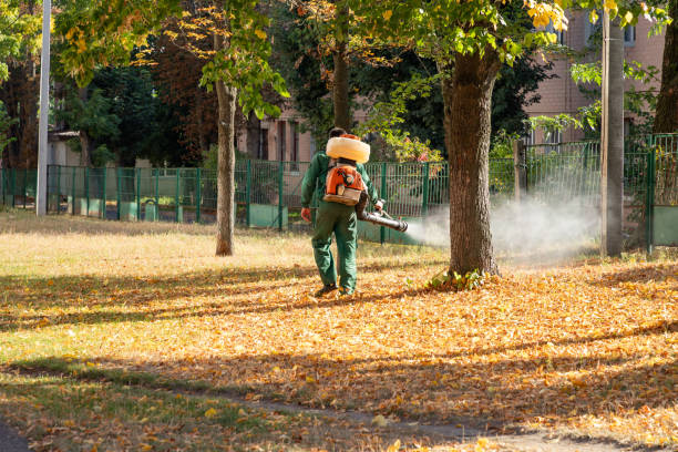 Best Pest Inspection Near Me  in Hitchcock, TX