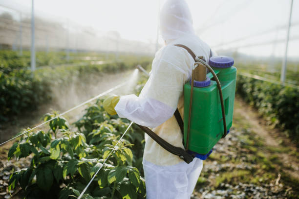 Best Best Pest Control Companies  in Hitchcock, TX